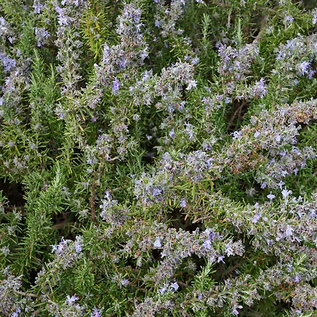 With Parking Space Punat, Krk - 5410 Пунат