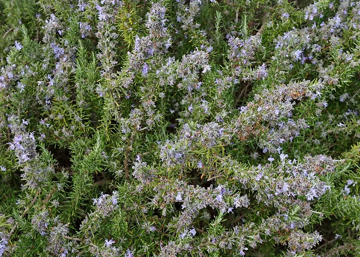 With Parking Space Punat, Krk - 5410 Пунат